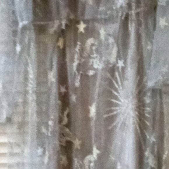 NWT Plus Size 26 Sheer Celestial Dress and Lining - Picture 2 of 8